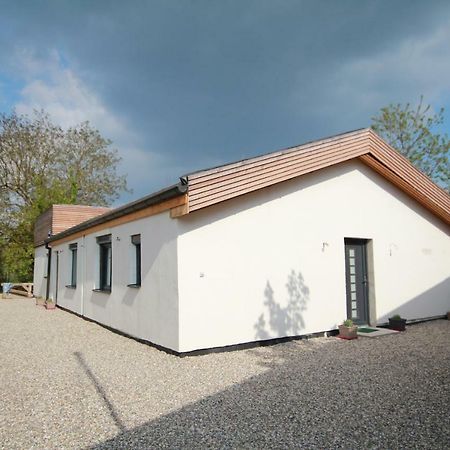 Ferienwohnung Les Bords De L'Ill Illhaeusern Exterior foto